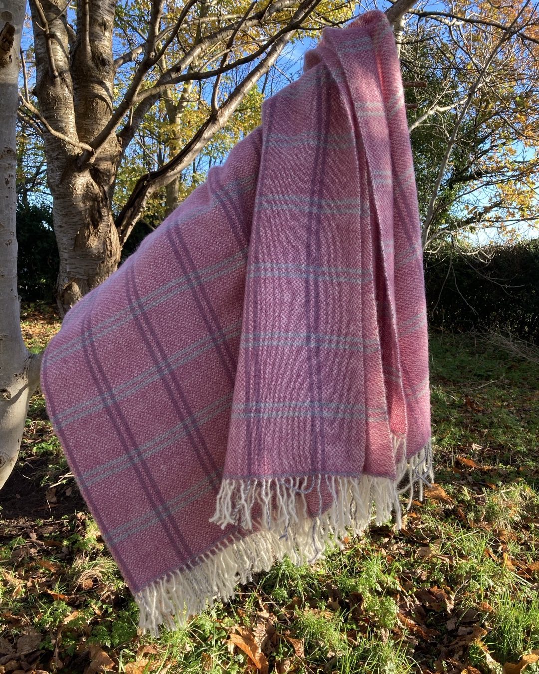 We have more of our beautiful heritage Lincoln Longwool throws in stock.. perfect for a special Christmas gift. Link in bio or message Lynn directly